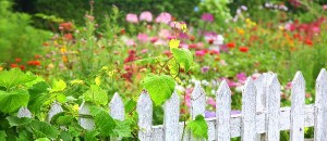 Kompakt-Weiterbildung Gartentherapie und Landschaftstherapie im Integrativen Verfahren®